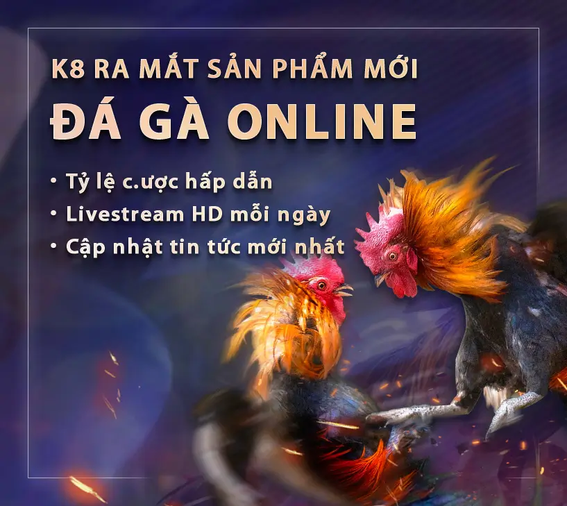 Ra mắt sản phẩm mới đá gà online